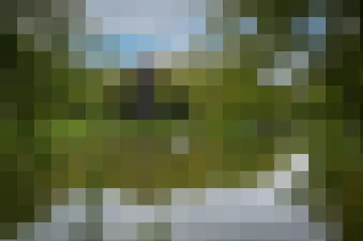Marten van Rossemsingel 98 Zaltbommel thumbnail 32
