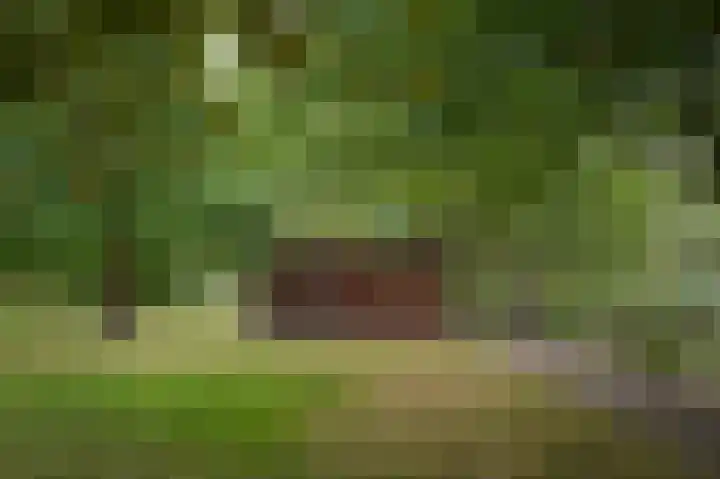 Marten van Rossemsingel 98 Zaltbommel thumbnail 33