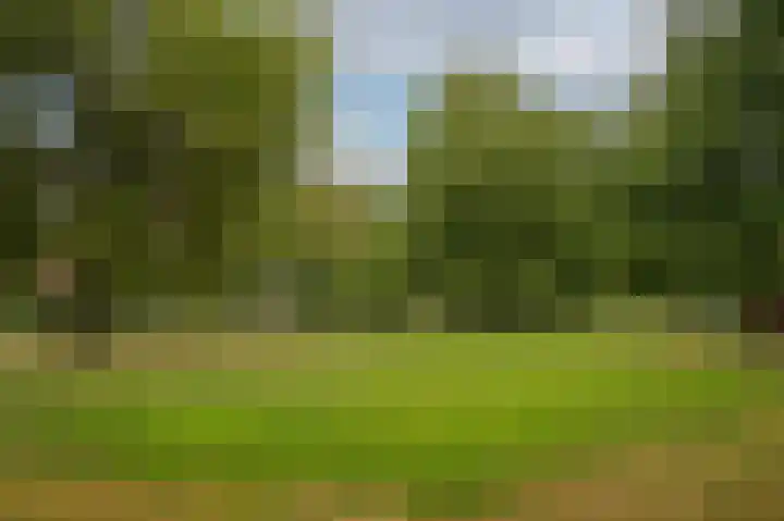 Marten van Rossemsingel 98 Zaltbommel thumbnail 36