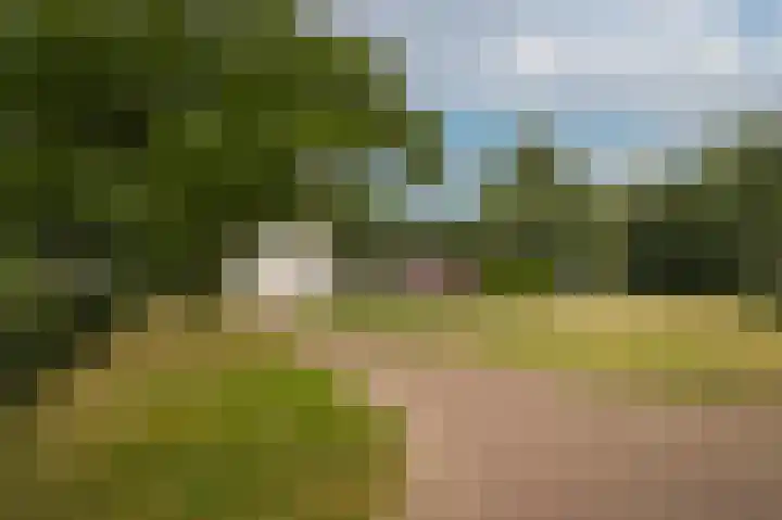 Marten van Rossemsingel 98 Zaltbommel thumbnail 37