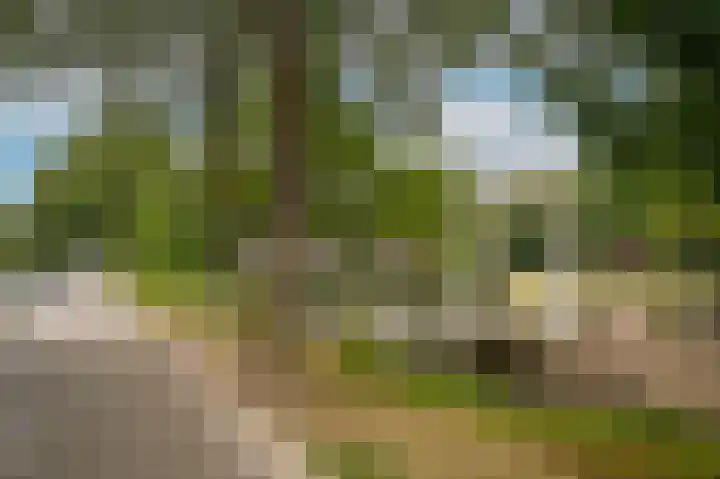 Marten van Rossemsingel 98 Zaltbommel thumbnail 38