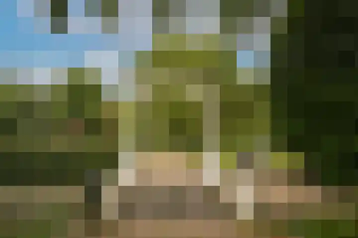 Marten van Rossemsingel 98 Zaltbommel thumbnail 4