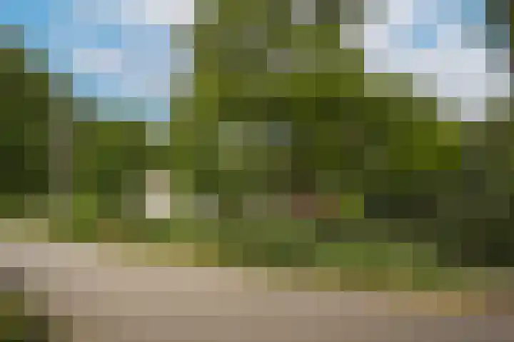 Marten van Rossemsingel 98 Zaltbommel thumbnail 40