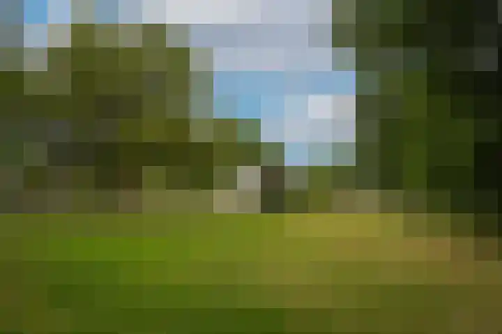Marten van Rossemsingel 98 Zaltbommel thumbnail 5