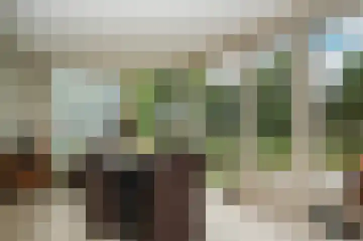 Marten van Rossemsingel 98 Zaltbommel thumbnail 7