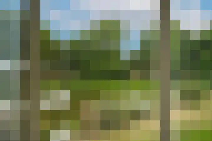 Marten van Rossemsingel 98 Zaltbommel thumbnail 8