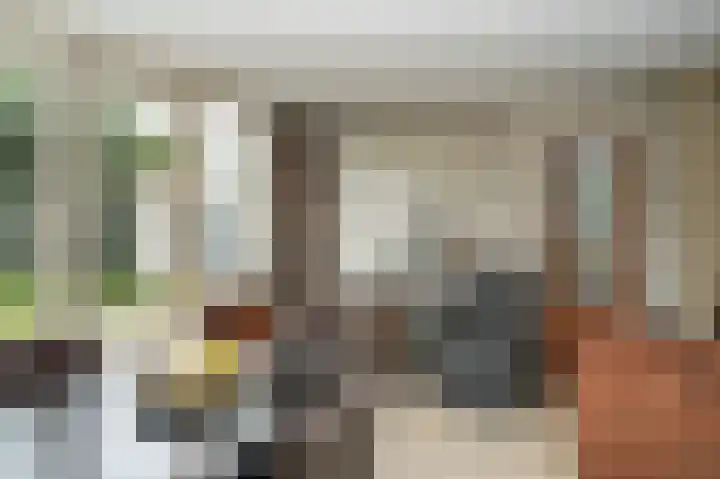 Marten van Rossemsingel 98 Zaltbommel thumbnail 9