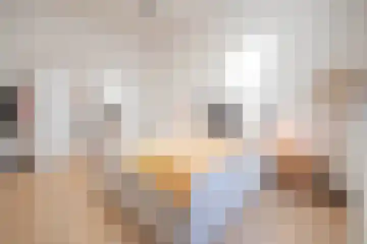 Marten van Rossemstraat 12 Arnhem thumbnail 28