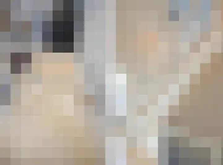 Marten van Rossemstraat 12 Arnhem thumbnail 43
