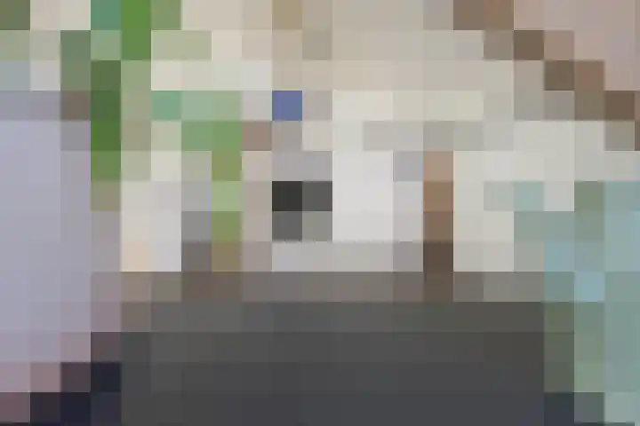 Marten van Rossemstraat 12 Arnhem thumbnail 47