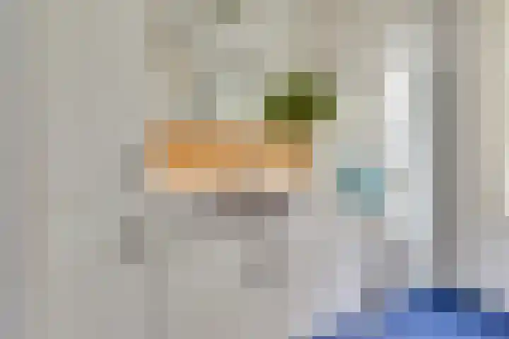 Marten van Rossemstraat 15 Arnhem thumbnail 19