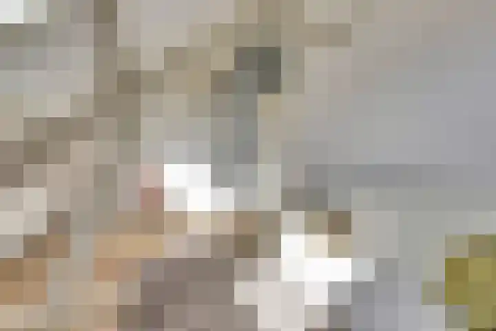 Marten van Rossemstraat 15 Arnhem thumbnail 26