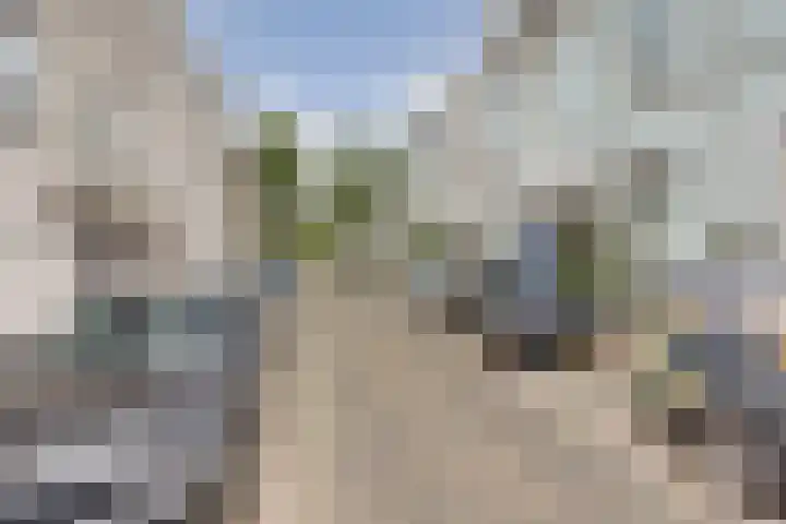 Marten van Rossemstraat 15 Arnhem thumbnail 33