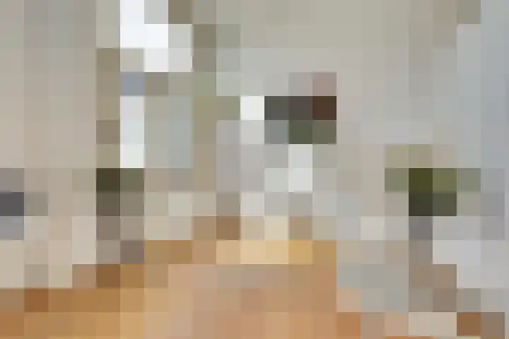 Marten van Rossemstraat 15 Arnhem thumbnail 5
