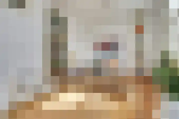 Marten van Rossemstraat 15 Arnhem thumbnail 6