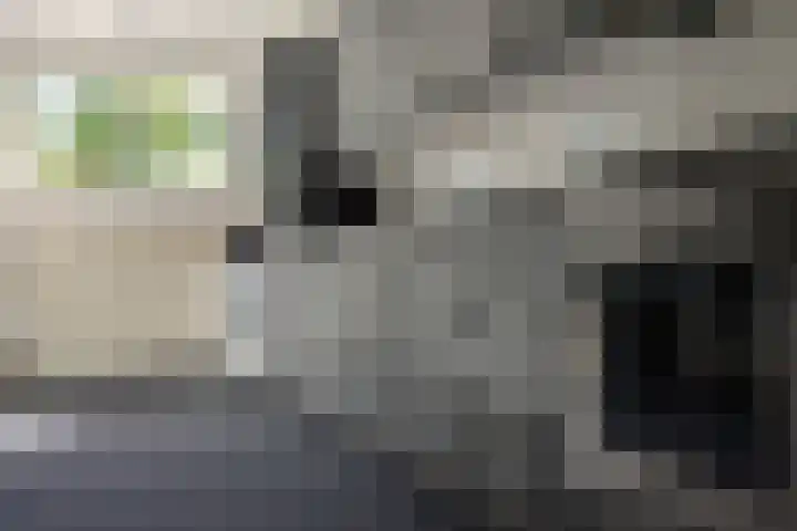 Martena 13 Drachten thumbnail 12