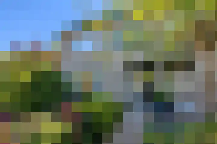 Martena 13 Drachten thumbnail 25