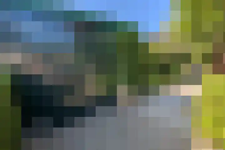 Martena 13 Drachten thumbnail 26
