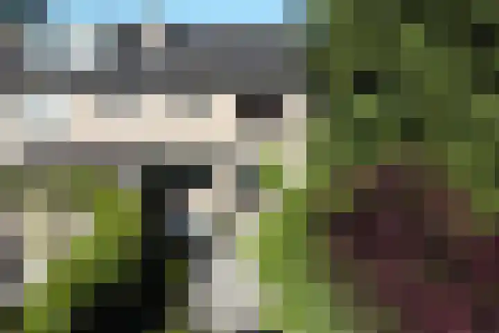 Martena 13 Drachten thumbnail 5