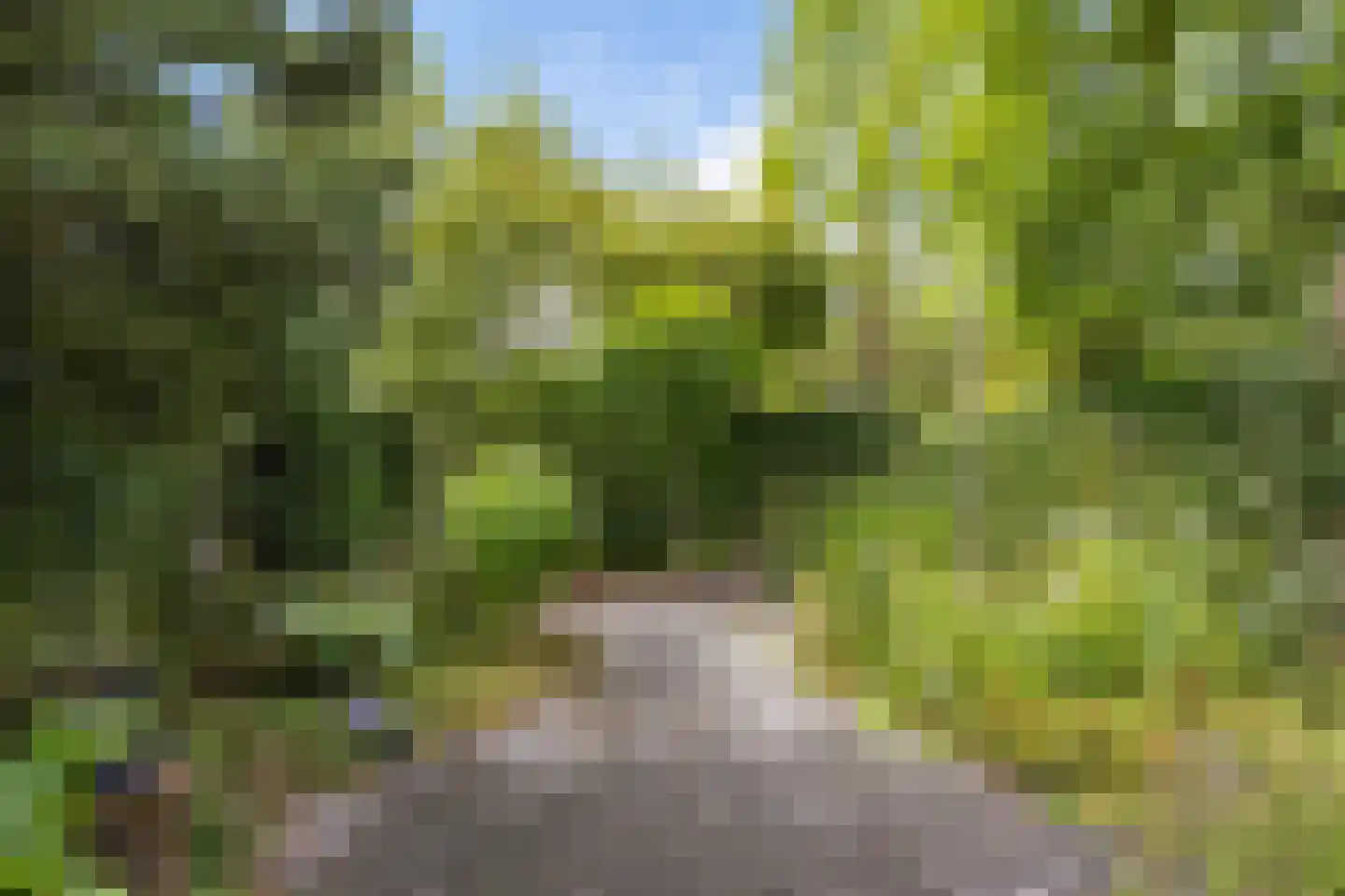Martena 2 Drachten thumbnail 35