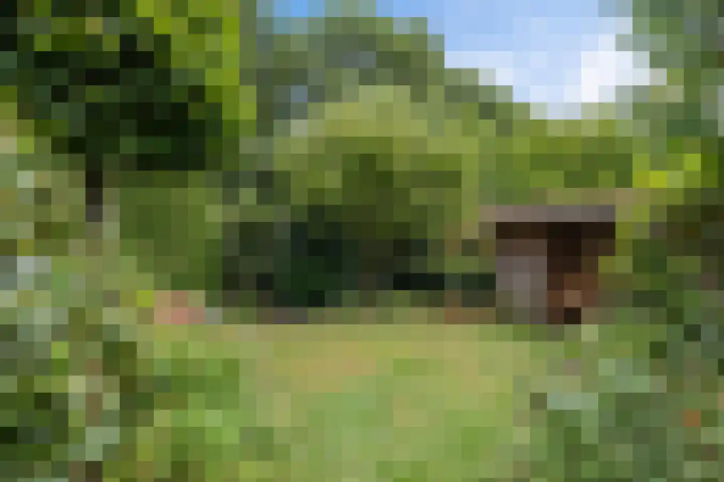 Martena 2 Drachten thumbnail 36