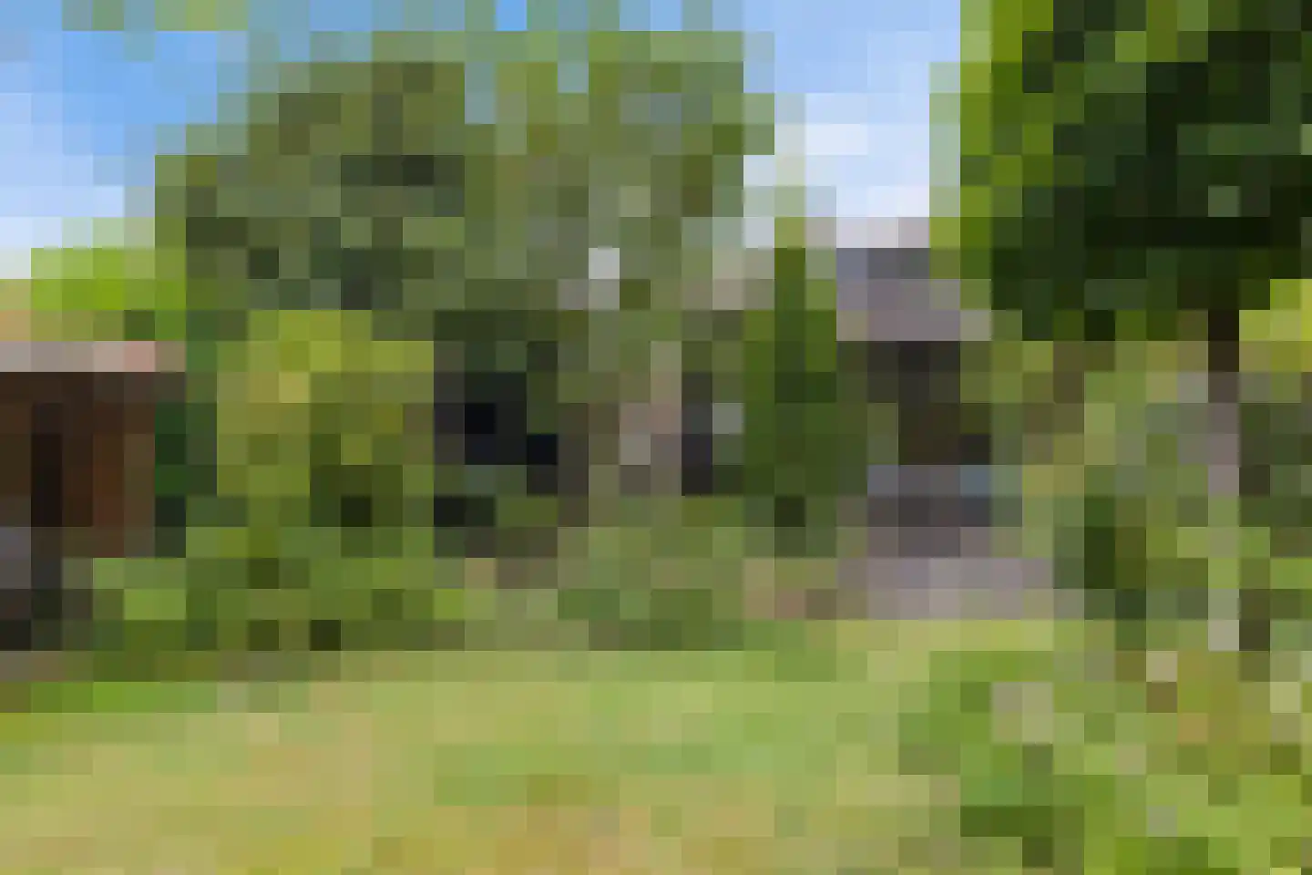 Martena 2 Drachten thumbnail 37