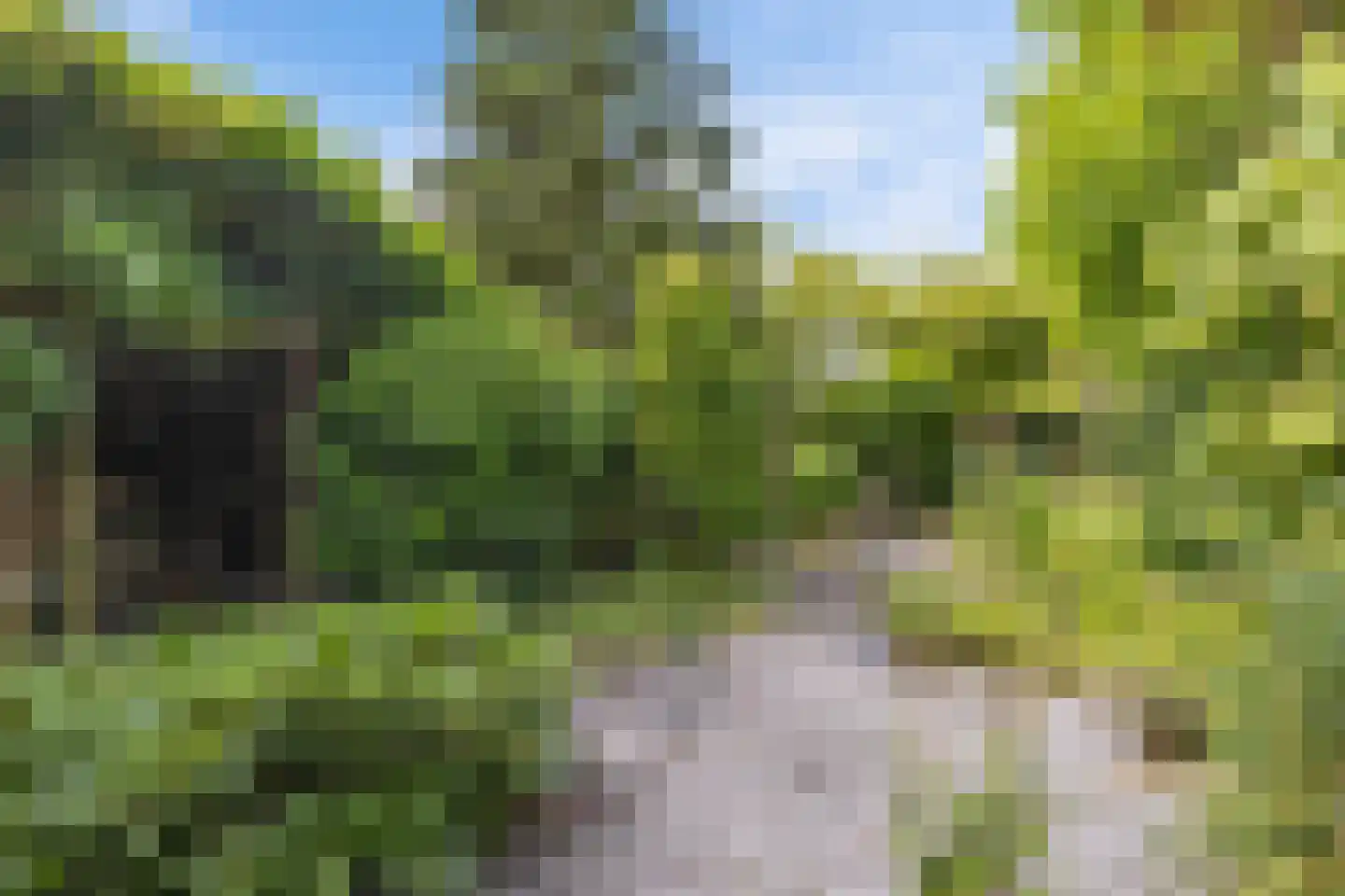 Martena 2 Drachten thumbnail 38