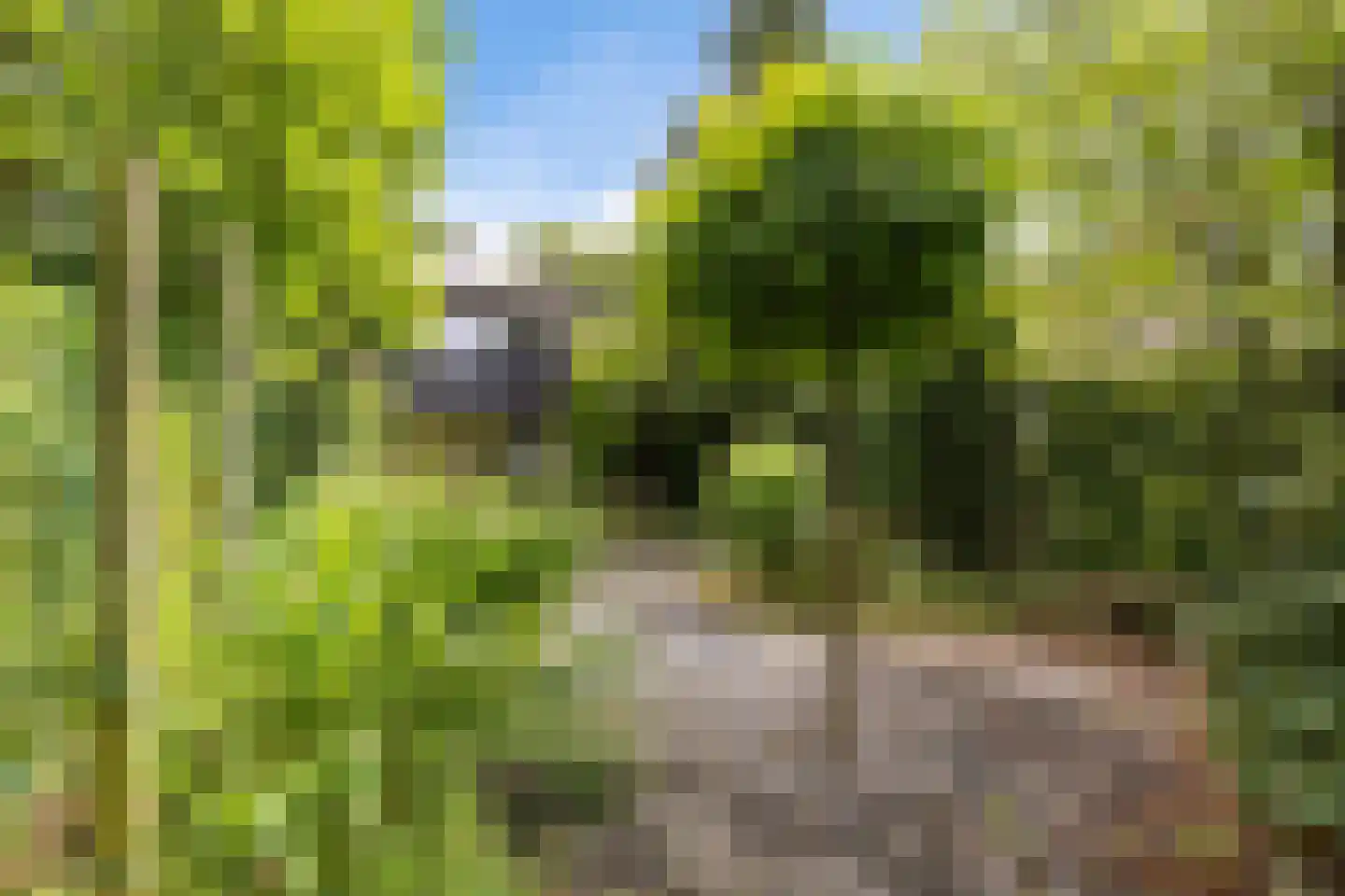 Martena 2 Drachten thumbnail 39