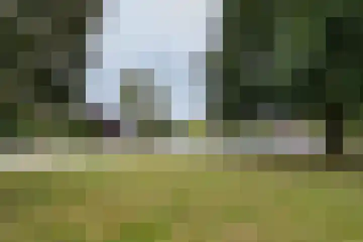 Martenastate 12 Almelo thumbnail 26