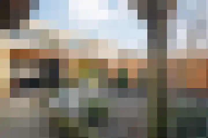 Martenastate 16 Almelo thumbnail 26