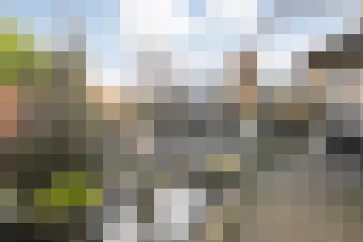 Martenastate 16 Almelo thumbnail 30