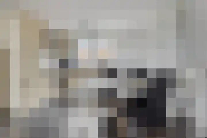 Martenawei 29 Koarnjum thumbnail 10