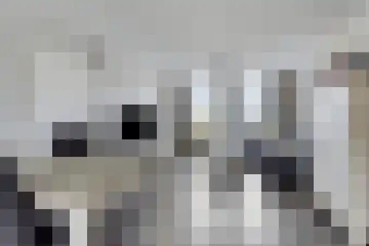 Martenawei 29 Koarnjum thumbnail 12