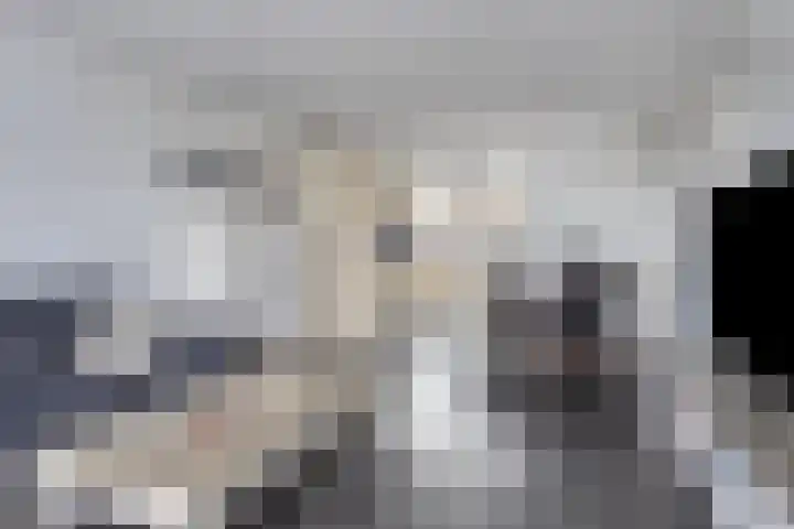 Martenawei 29 Koarnjum thumbnail 6
