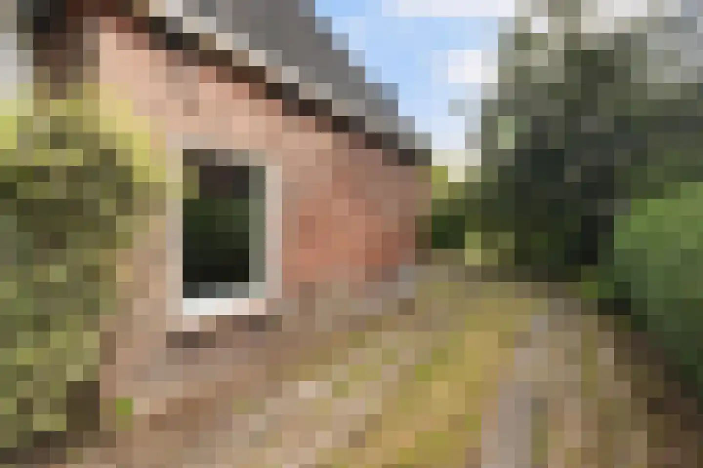 Martenawei 47 Koarnjum thumbnail 38