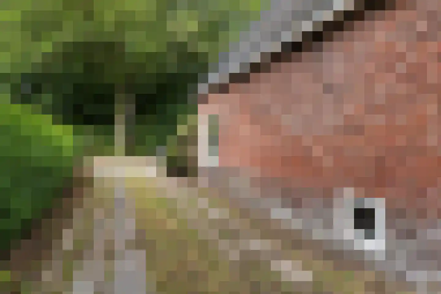 Martenawei 47 Koarnjum thumbnail 39