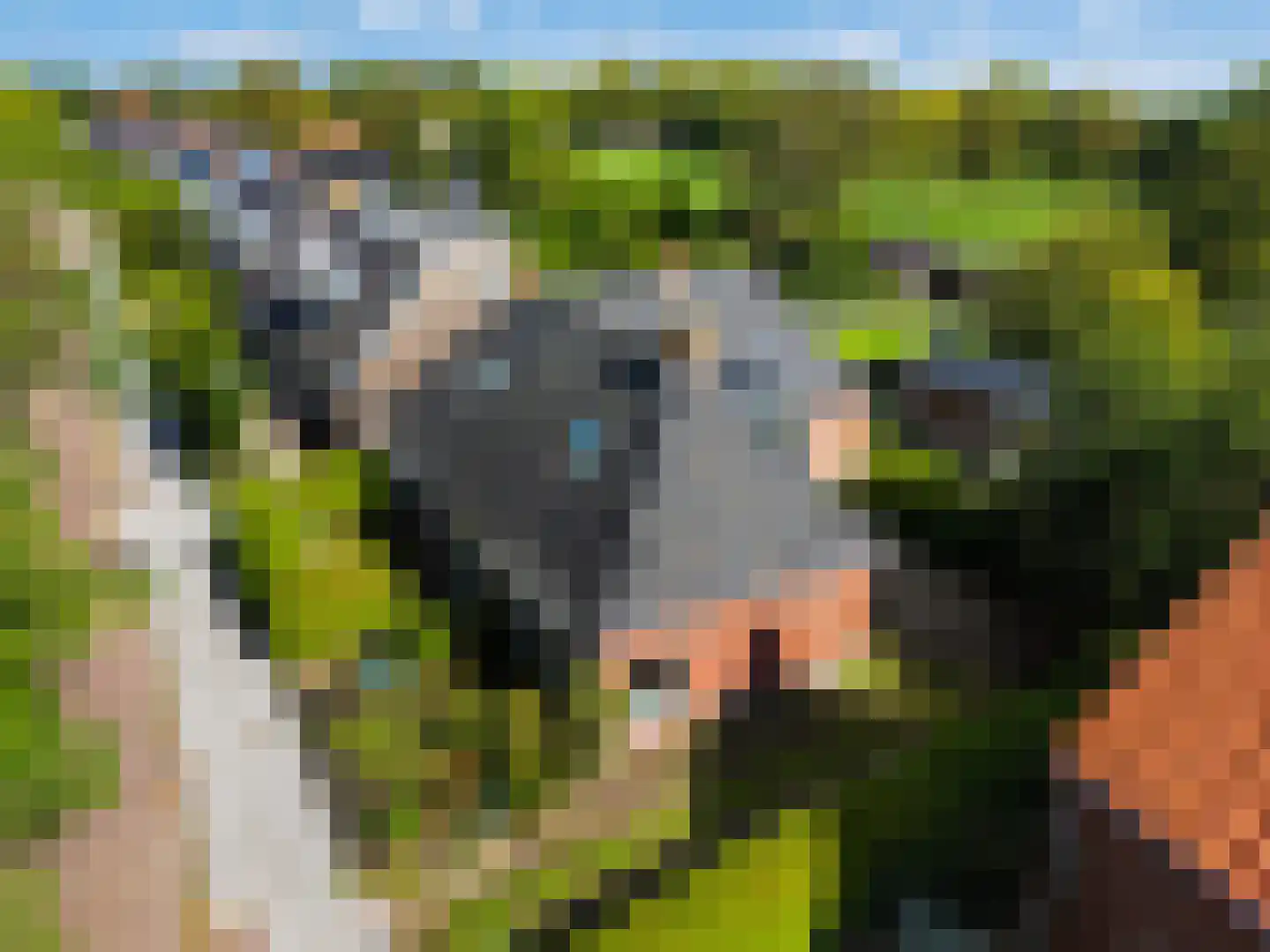 Martenawei 47 Koarnjum thumbnail 46