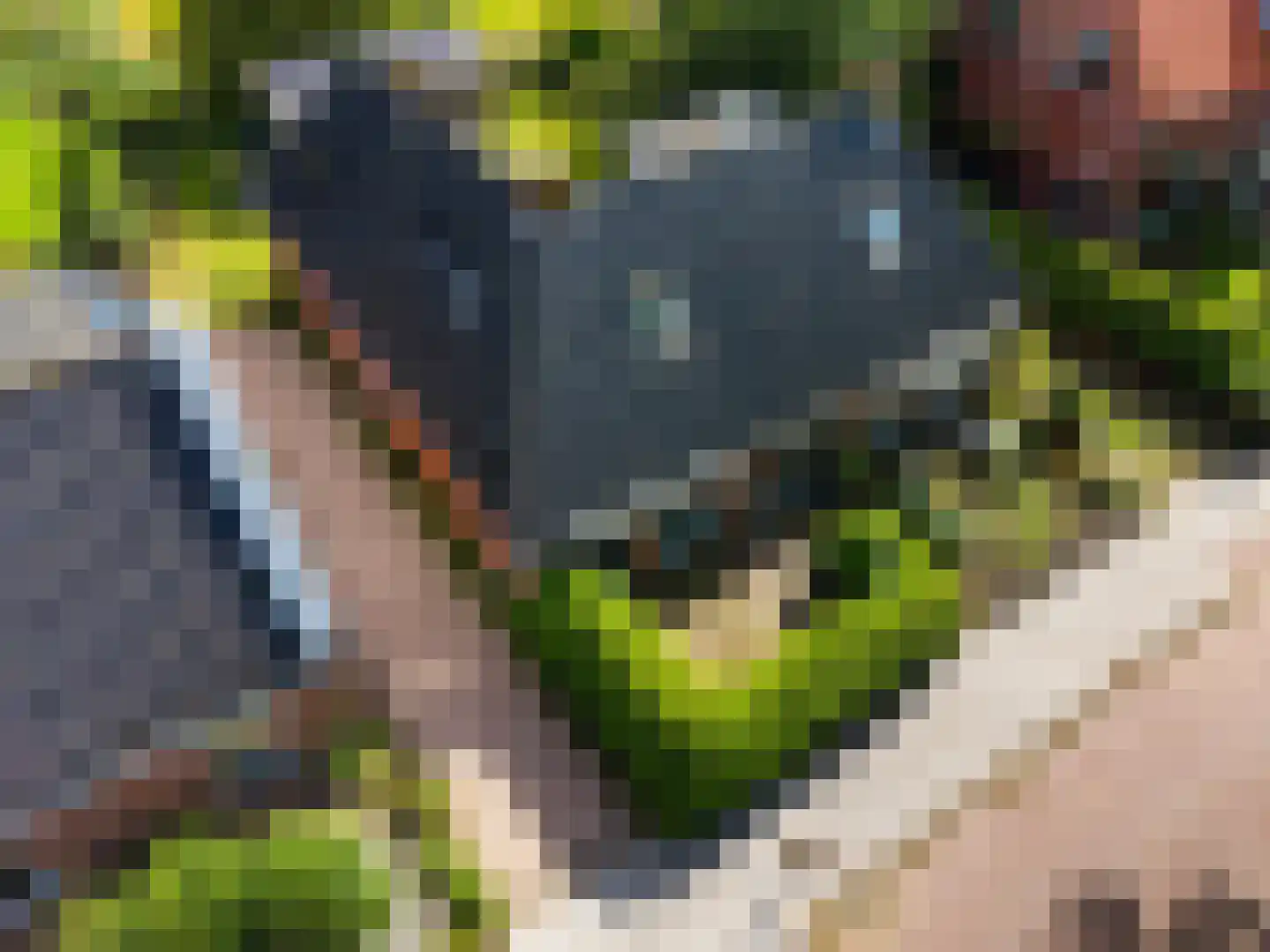Martenawei 47 Koarnjum thumbnail 47