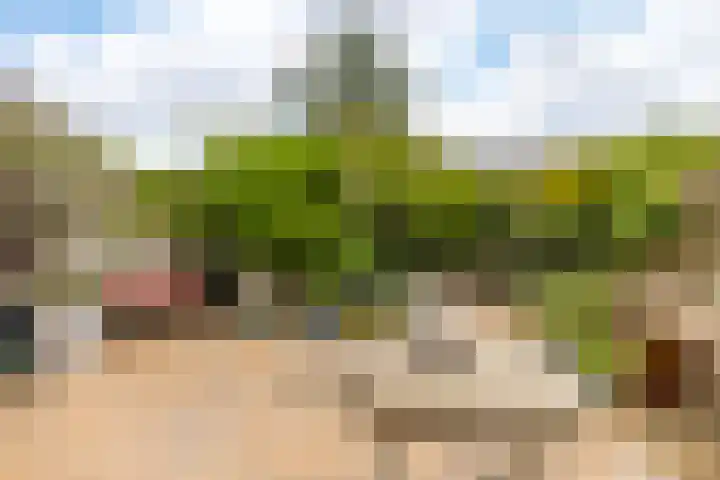 Martensbongerd 64 Arnhem thumbnail 23