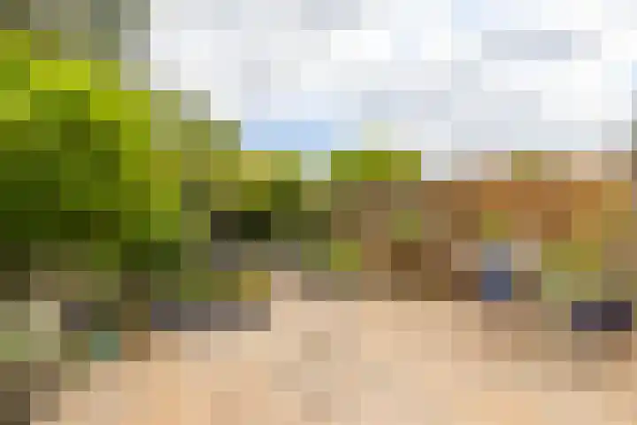 Martensbongerd 64 Arnhem thumbnail 24