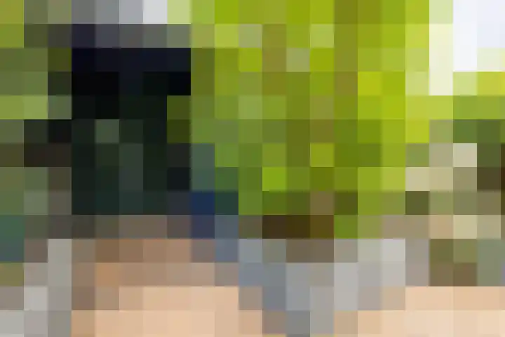 Martensbongerd 64 Arnhem thumbnail 25