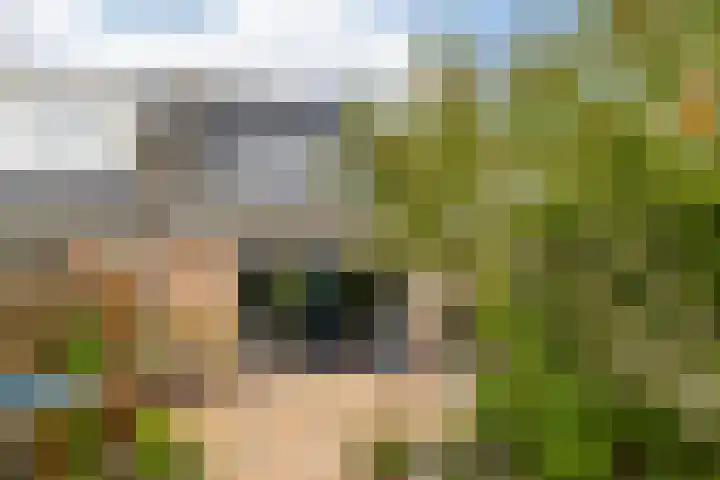 Martensbongerd 64 Arnhem thumbnail 27