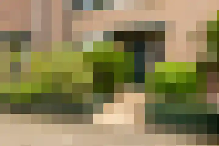 Martensbongerd 64 Arnhem thumbnail 28