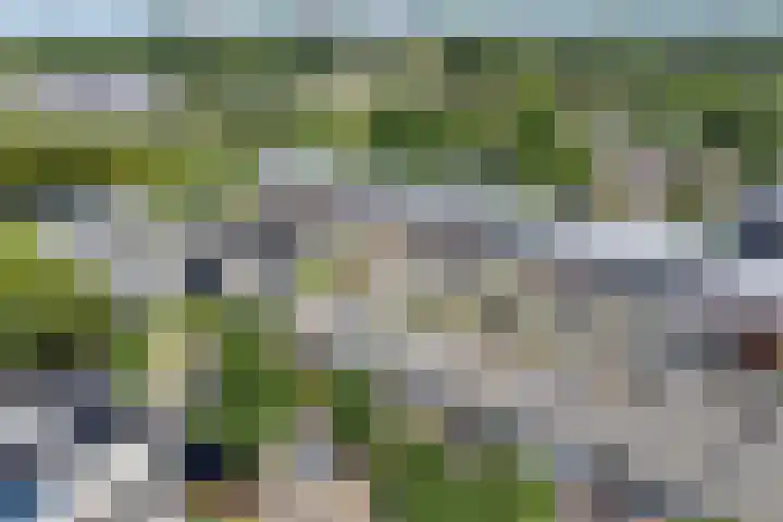Martensbongerd 64 Arnhem thumbnail 31