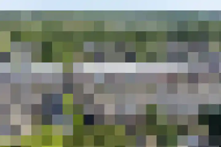 Martensbongerd 64 Arnhem thumbnail 32