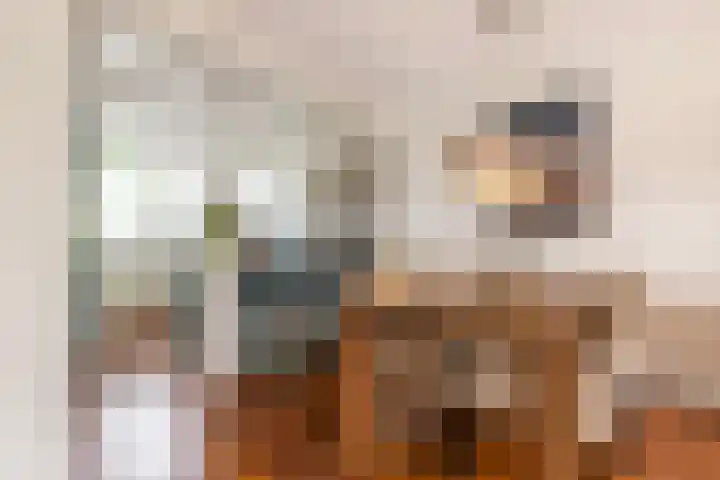 Martensbongerd 64 Arnhem thumbnail 7