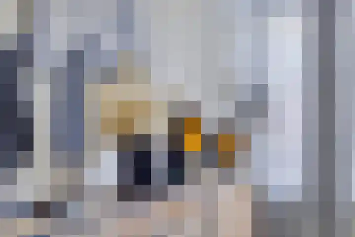Martenskamp 8 Oosterwolde thumbnail 21