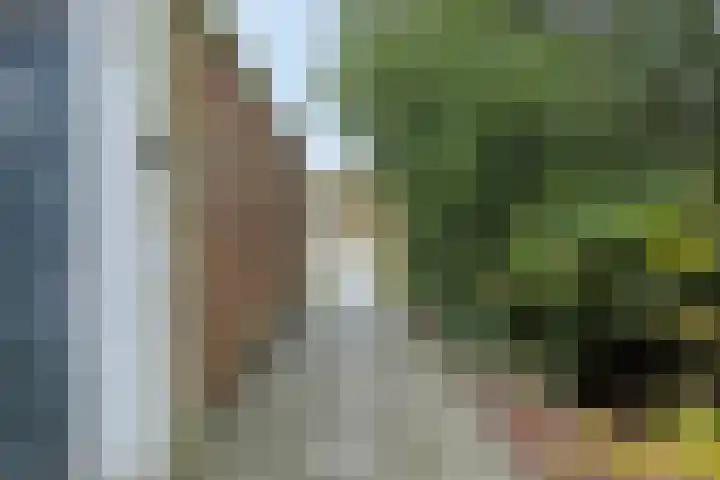 Martenskamp 8 Oosterwolde thumbnail 39