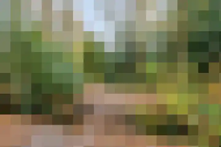 Martenskamp 8 Oosterwolde thumbnail 42