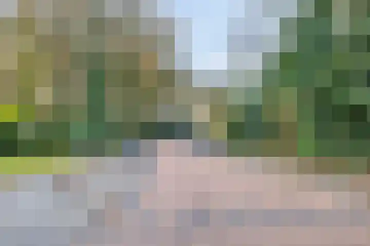 Martenskamp 8 Oosterwolde thumbnail 44